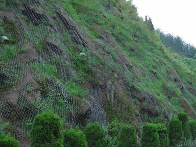 Trees and grass have grown up on mountain, with several parts of mountain shows chain link wire mesh.